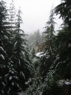 whistelr path